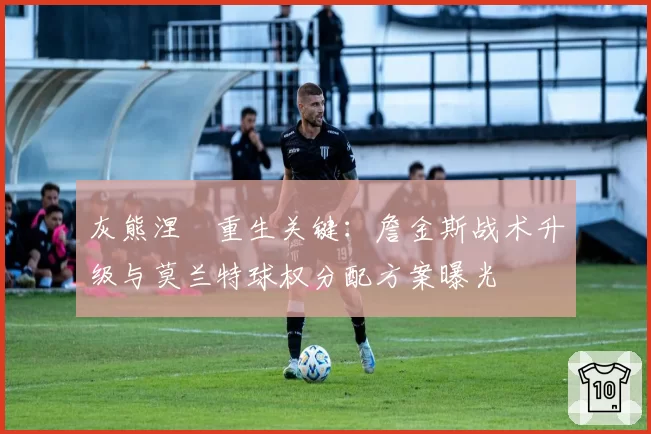 灰熊涅槃重生关键：詹金斯战术升级与莫兰特球权分配方案曝光