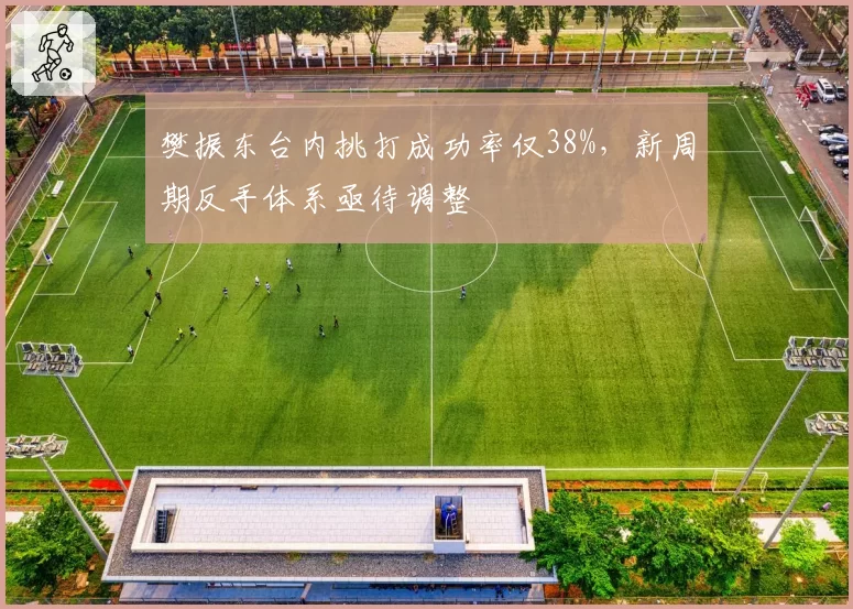 樊振东台内挑打成功率仅38%，新周期反手体系亟待调整