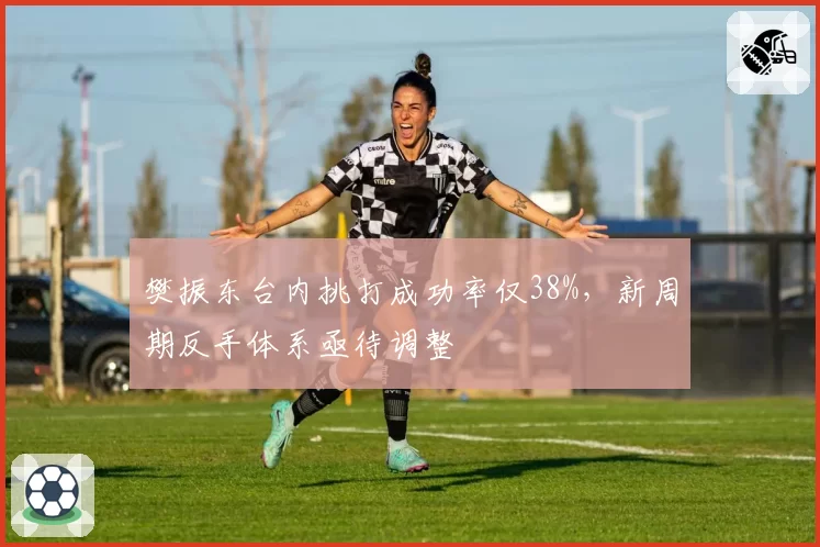 樊振东台内挑打成功率仅38%，新周期反手体系亟待调整